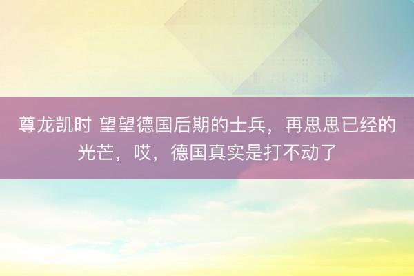 尊龙凯时 望望德国后期的士兵，再思思已经的光芒，哎，德国真实是打不动了