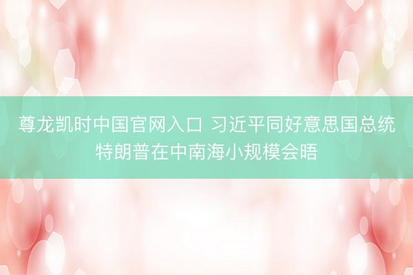 尊龙凯时中国官网入口 习近平同好意思国总统特朗普在中南海小规模会晤