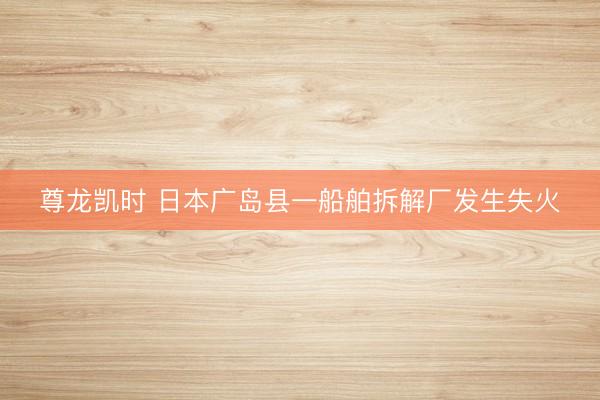 尊龙凯时 日本广岛县一船舶拆解厂发生失火