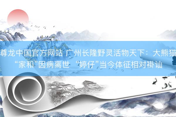 尊龙中国官方网站 广州长隆野灵活物天下：大熊猫“家和”因病离世  “婷仔”当今体征相对褂讪