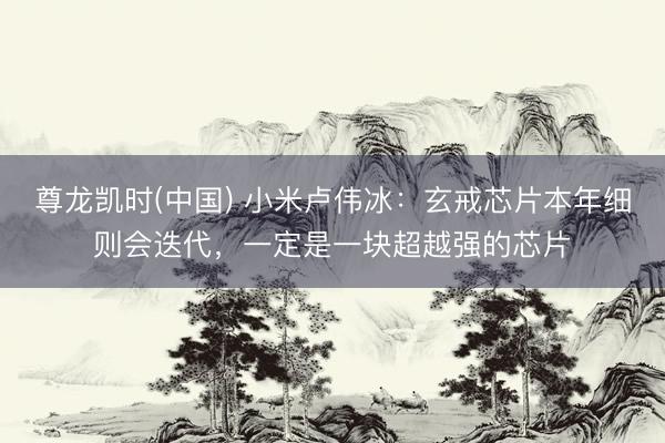 尊龙凯时(中国) 小米卢伟冰：玄戒芯片本年细则会迭代，一定是一块超越强的芯片