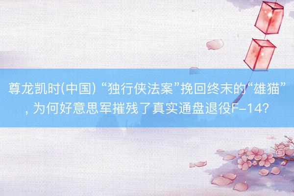 尊龙凯时(中国) “独行侠法案”挽回终末的“雄猫”， 为何好意思军摧残了真实通盘退役F-14?