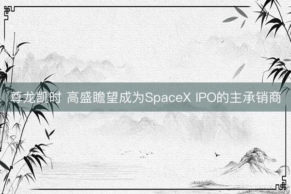 尊龙凯时 高盛瞻望成为SpaceX IPO的主承销商