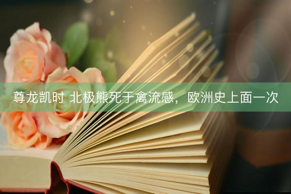 尊龙凯时 北极熊死于禽流感,欧洲史上面一次