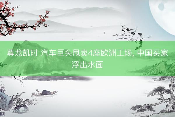 尊龙凯时 汽车巨头甩卖4座欧洲工场， 中国买家浮出水面
