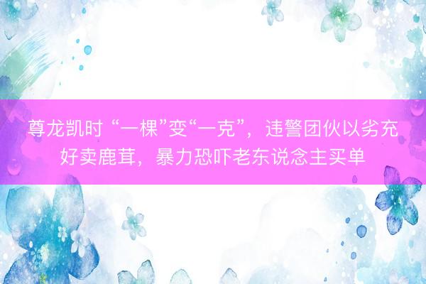 尊龙凯时 “一棵”变“一克”，违警团伙以劣充好卖鹿茸，暴力恐吓老东说念主买单