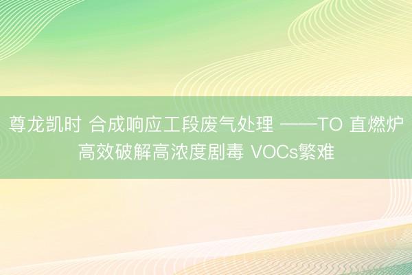 尊龙凯时 合成响应工段废气处理 ——TO 直燃炉高效破解高浓度剧毒 VOCs繁难
