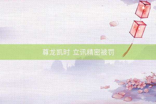 尊龙凯时 立讯精密被罚