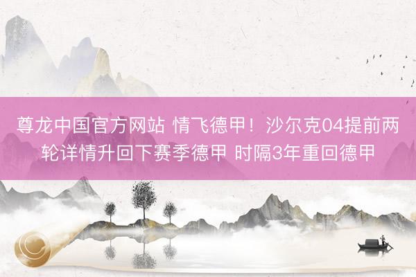 尊龙中国官方网站 情飞德甲！沙尔克04提前两轮详情升回下赛季德甲 时隔3年重回德甲