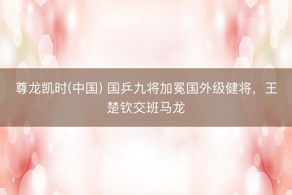 尊龙凯时(中国) 国乒九将加冕国外级健将,王楚钦交班马龙
