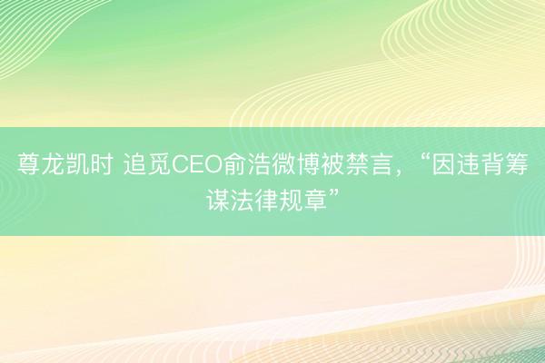 尊龙凯时 追觅CEO俞浩微博被禁言，“因违背筹谋法律规章”