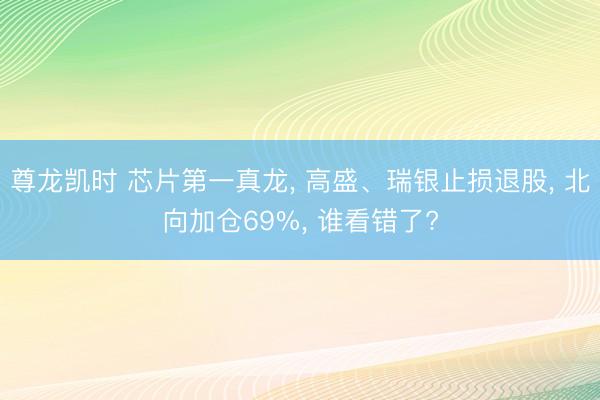 尊龙凯时 芯片第一真龙, 高盛、瑞银止损退股, 北向加仓69%, 谁看错了?