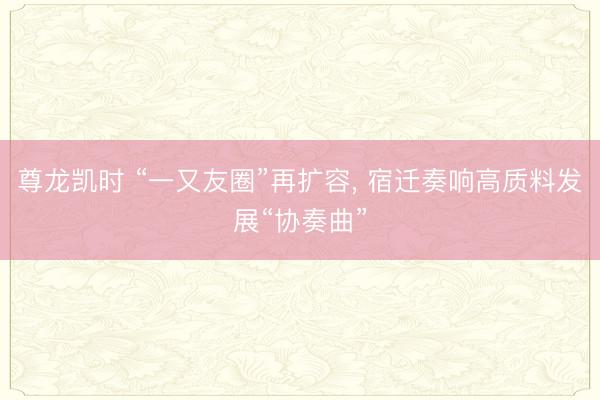 尊龙凯时 “一又友圈”再扩容， 宿迁奏响高质料发展“协奏曲”