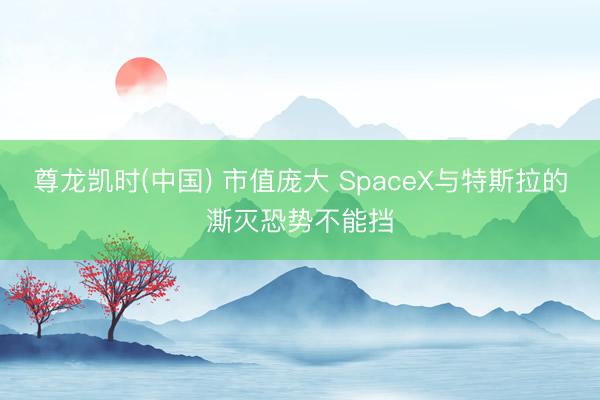 尊龙凯时(中国) 市值庞大 SpaceX与特斯拉的澌灭恐势不能挡