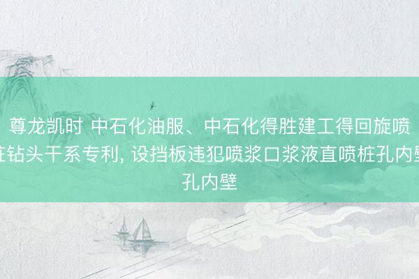 尊龙凯时 中石化油服、中石化得胜建工得回旋喷桩钻头干系专利， 设挡板违犯喷浆口浆液直喷桩孔内壁