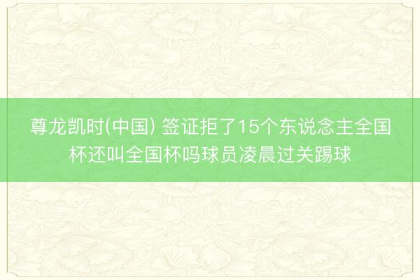 尊龙凯时(中国) 签证拒了15个东说念主全国杯还叫全国杯吗球员凌晨过关踢球