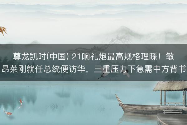 尊龙凯时(中国) 21响礼炮最高规格理睬！敏昂莱刚就任总统便访华，三重压力下急需中方背书