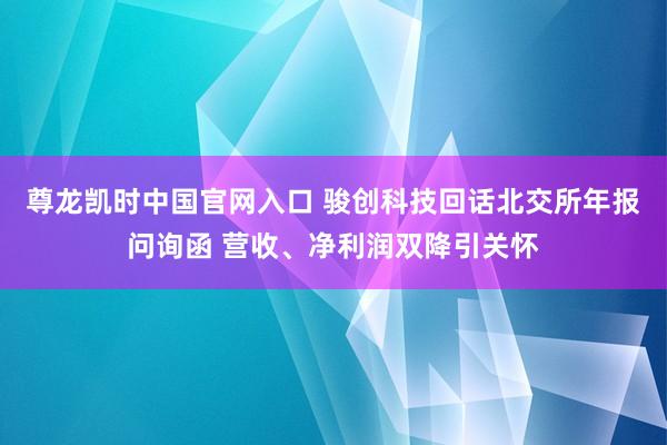 尊龙凯时中国官网入口 骏创科技回话北交所年报问询函 营收、净利润双降引关怀
