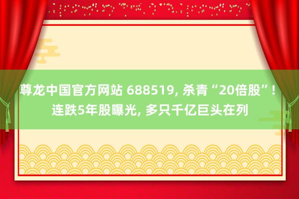尊龙中国官方网站 688519， 杀青“20倍股”! 连跌5年股曝光， 多只千亿巨头在列