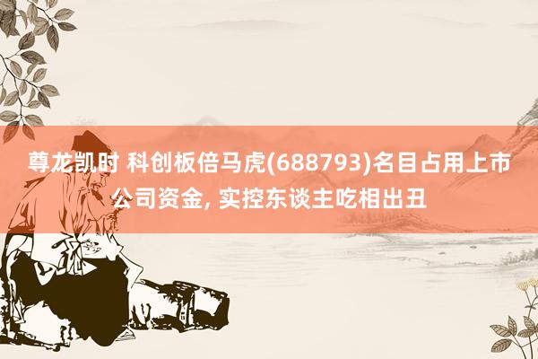 尊龙凯时 科创板倍马虎(688793)名目占用上市公司资金， 实控东谈主吃相出丑