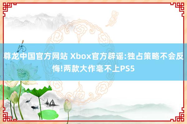 尊龙中国官方网站 Xbox官方辟谣:独占策略不会反悔!两款大作毫不上PS5